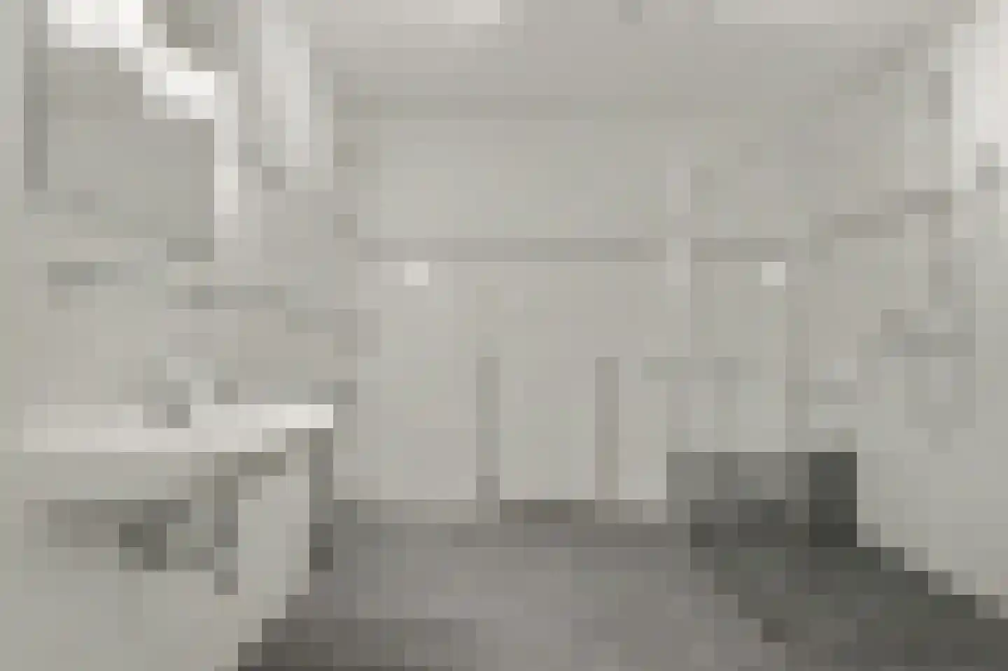 Waterviolier 10 Breda thumbnail 18
