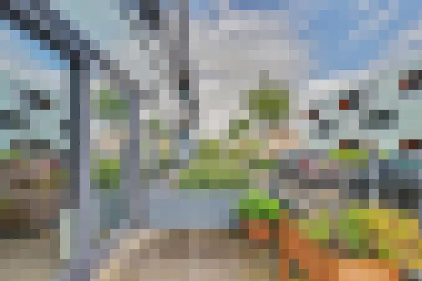 Waterviolier 10 Breda thumbnail 21