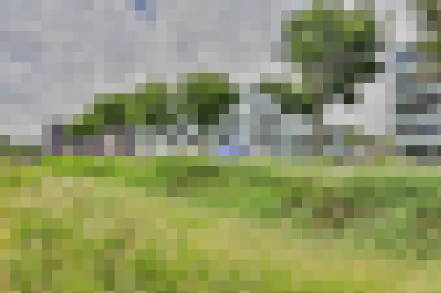 Waterviolier 10 Breda thumbnail 26