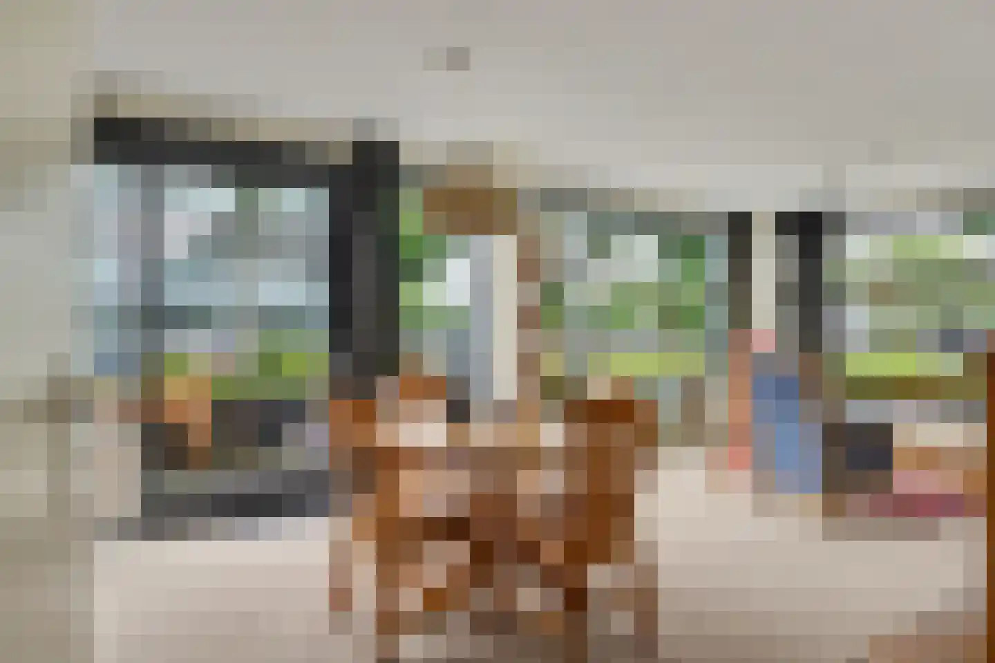 Waterviolier 10 Breda thumbnail 4