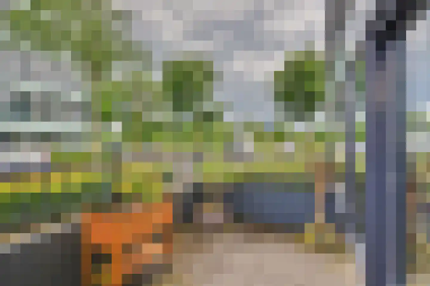 Waterviolier 10 Breda thumbnail 5