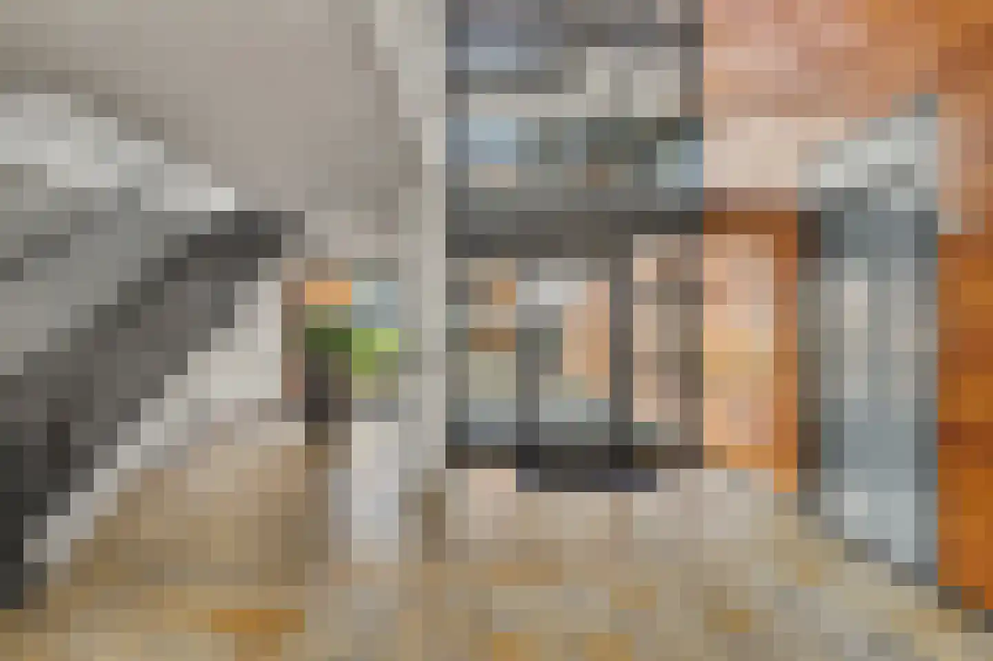 Waterviolier 10 Breda thumbnail 9