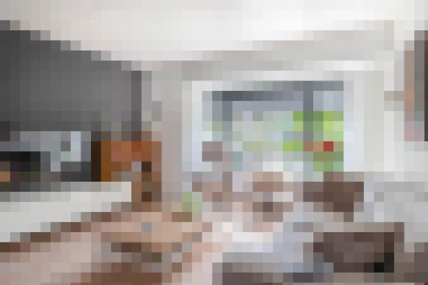 Waterviolier 10 Schoonhoven thumbnail 13
