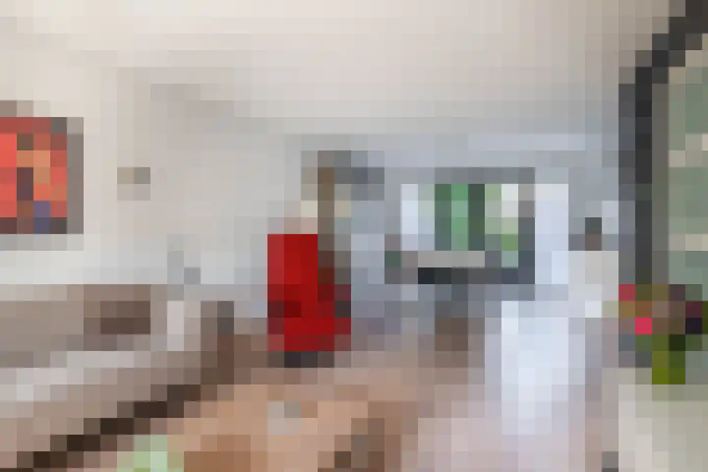 Waterviolier 10 Schoonhoven thumbnail 14
