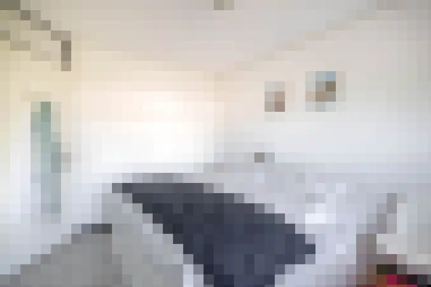 Waterviolier 10 Schoonhoven thumbnail 29