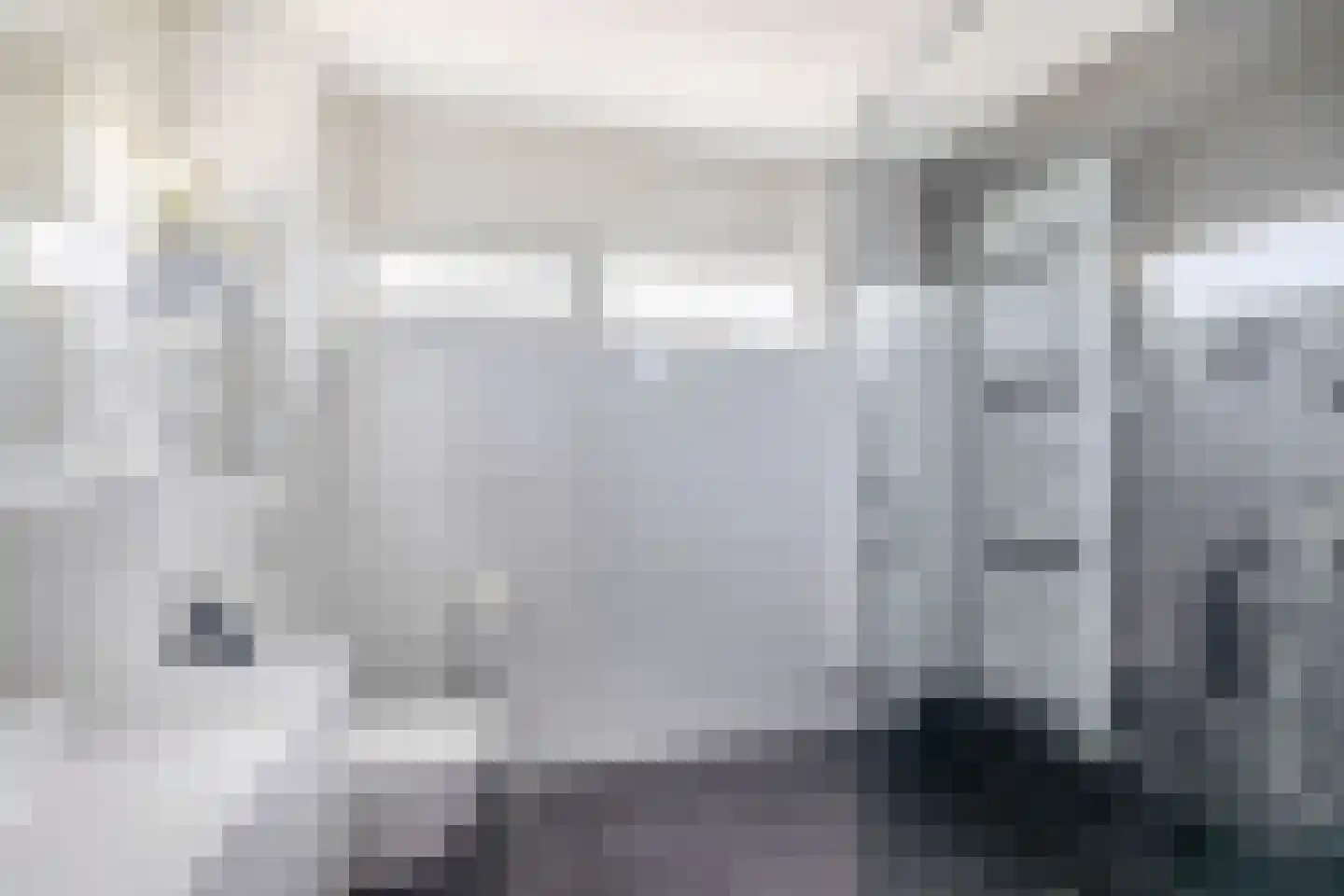 Waterviolier 10 Schoonhoven thumbnail 31
