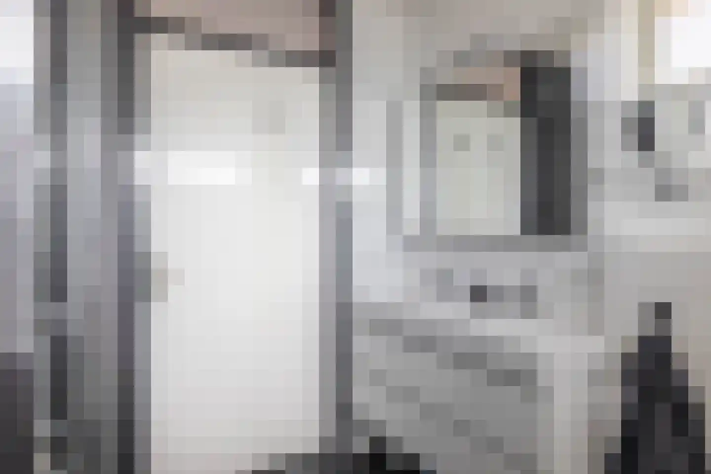 Waterviolier 10 Schoonhoven thumbnail 32