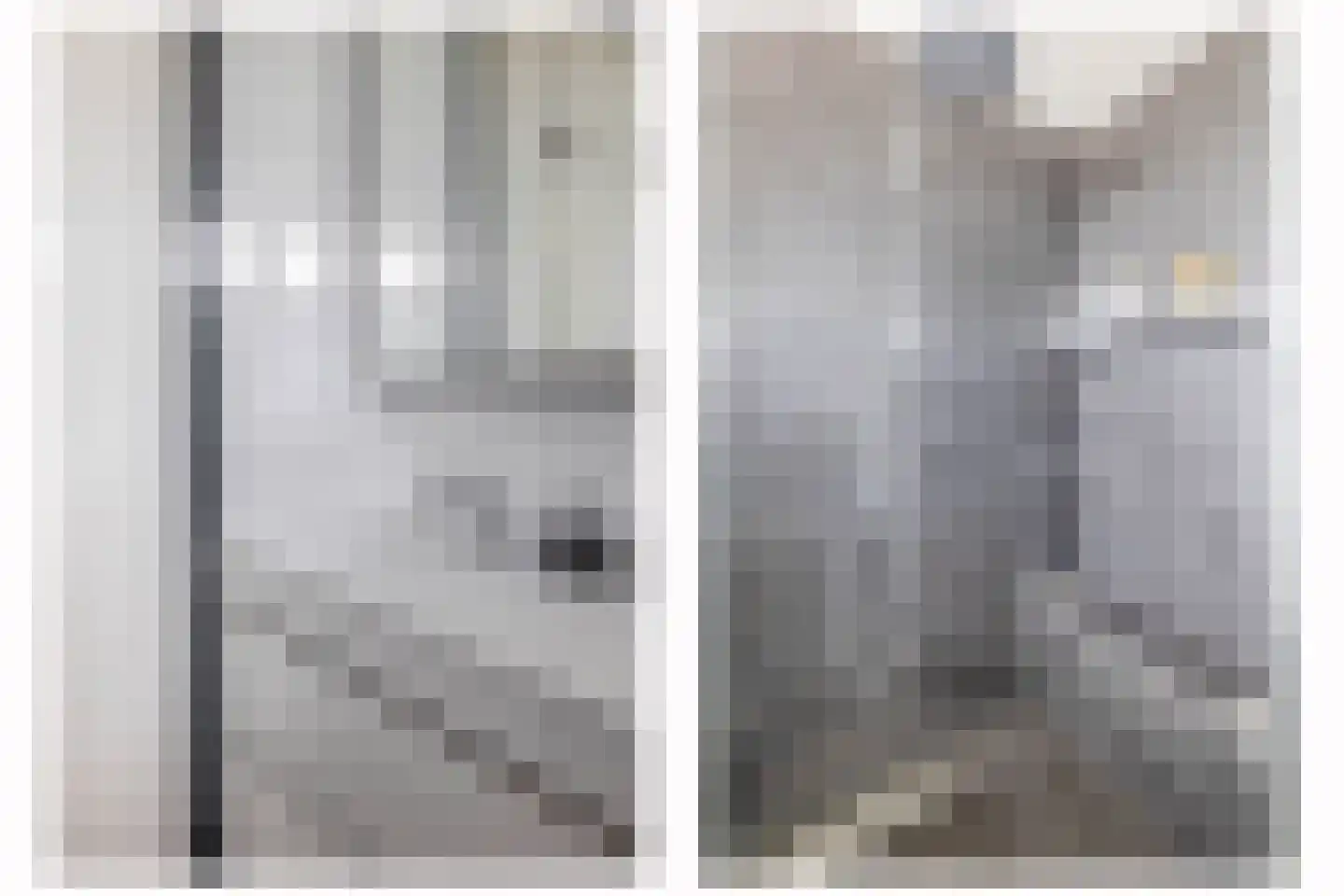 Waterviolier 10 Schoonhoven thumbnail 33