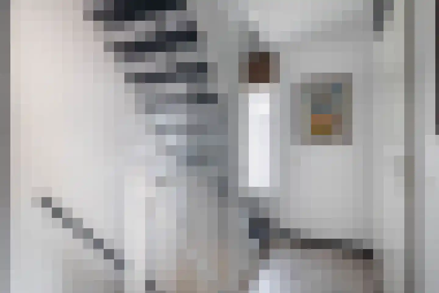 Waterviolier 10 Schoonhoven thumbnail 38