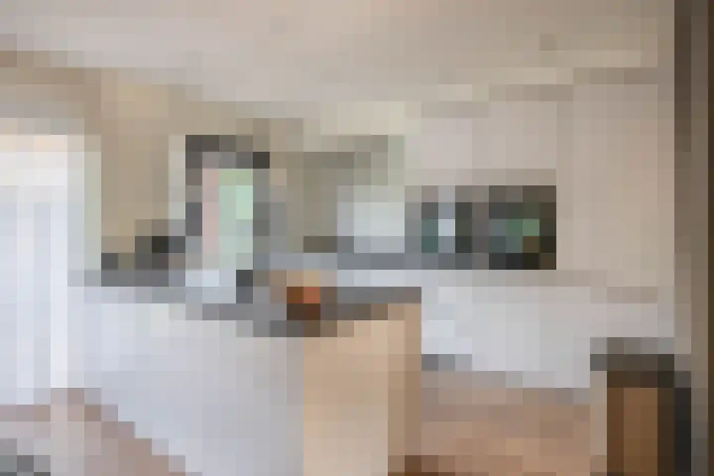 Waterviolier 10 Schoonhoven thumbnail 4