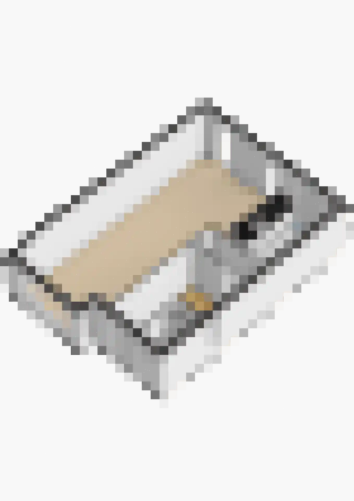 Waterviolier 10 Schoonhoven thumbnail 44