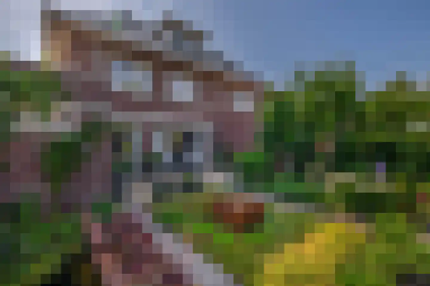 Waterviolier 10 Schoonhoven thumbnail 5