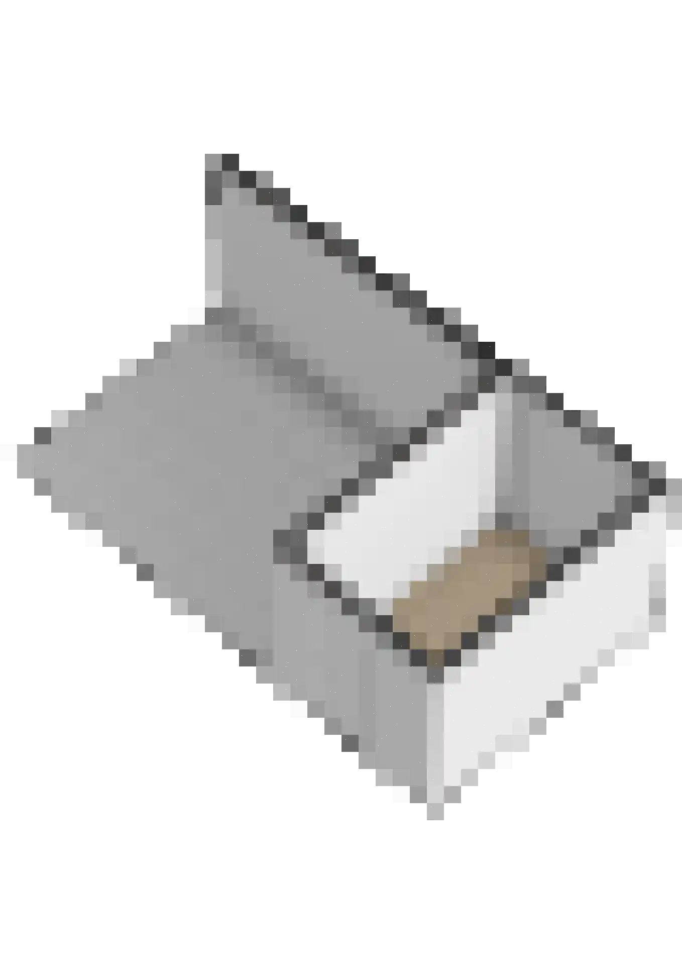 Waterviolier 10 Schoonhoven thumbnail 52