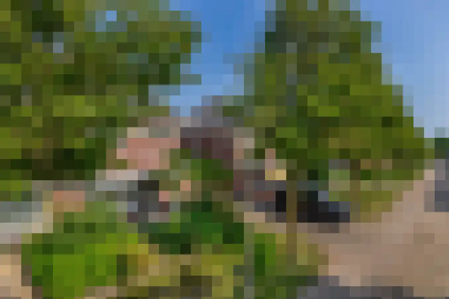 Waterviolier 10 Schoonhoven thumbnail 6