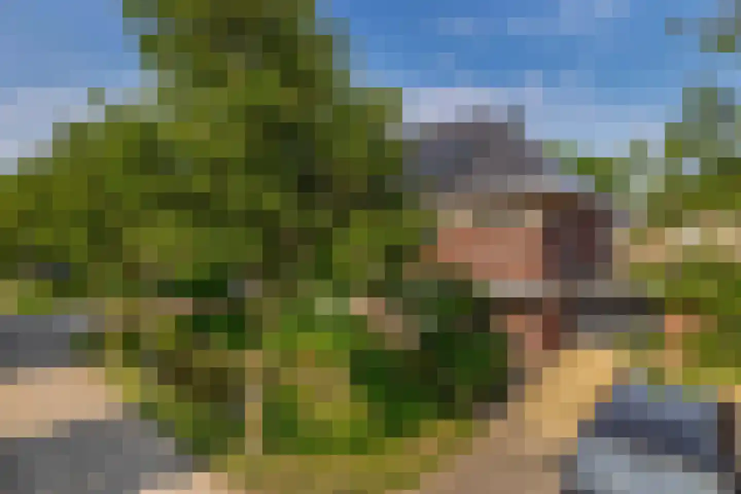 Waterviolier 10 Schoonhoven thumbnail 7