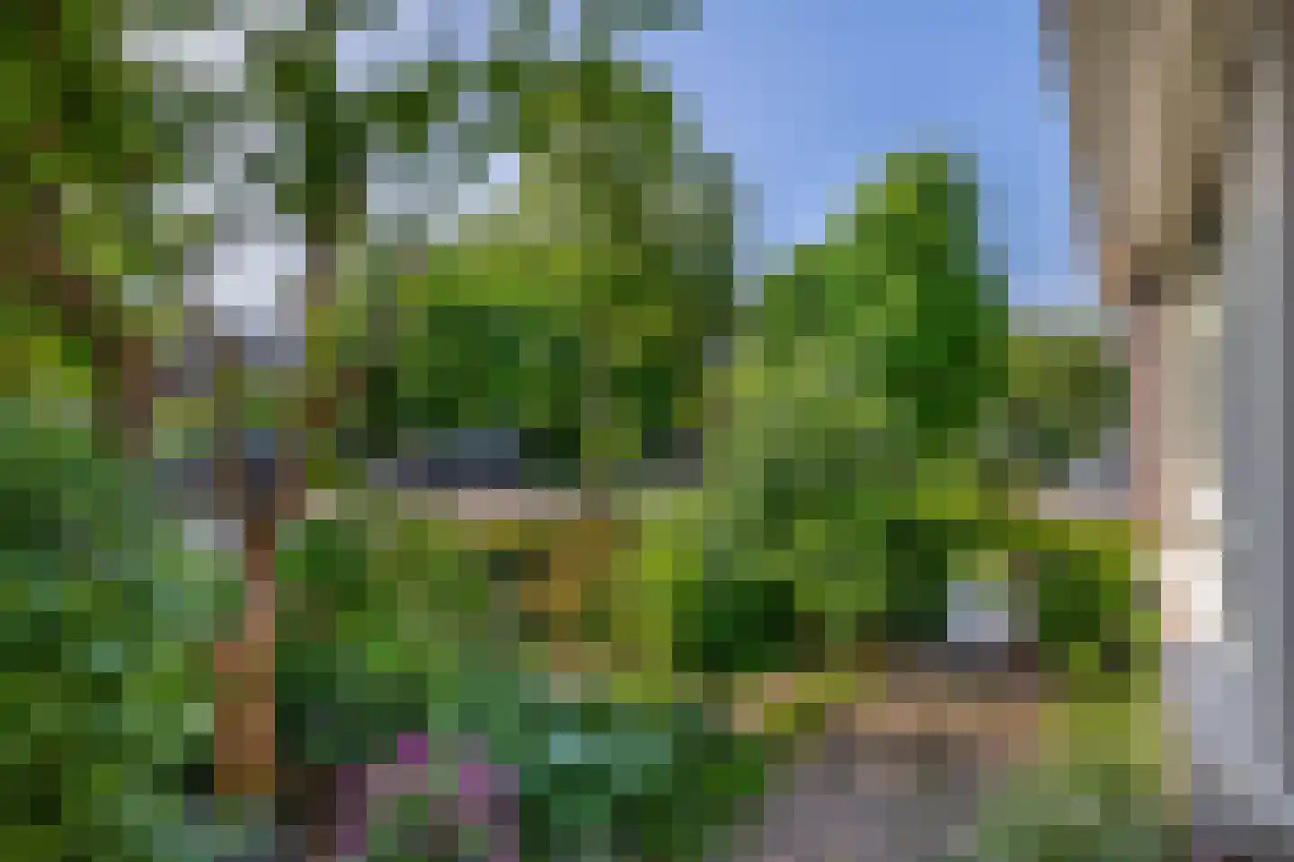 Waterviolier 10 Schoonhoven thumbnail 8