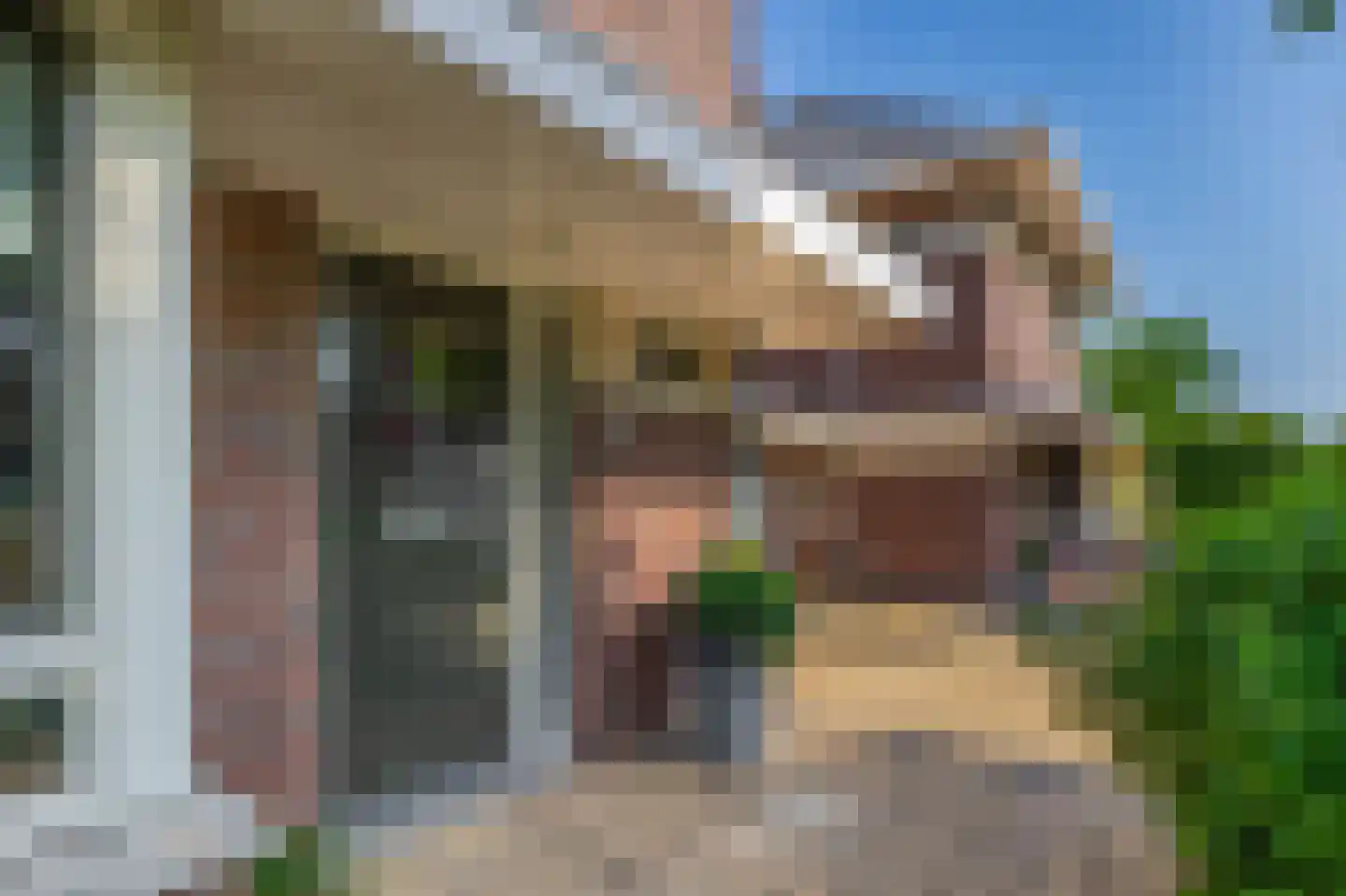 Waterviolier 10 Schoonhoven thumbnail 9