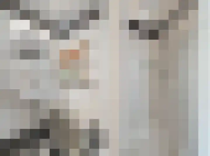 Waterviolier 100 Breda thumbnail 12