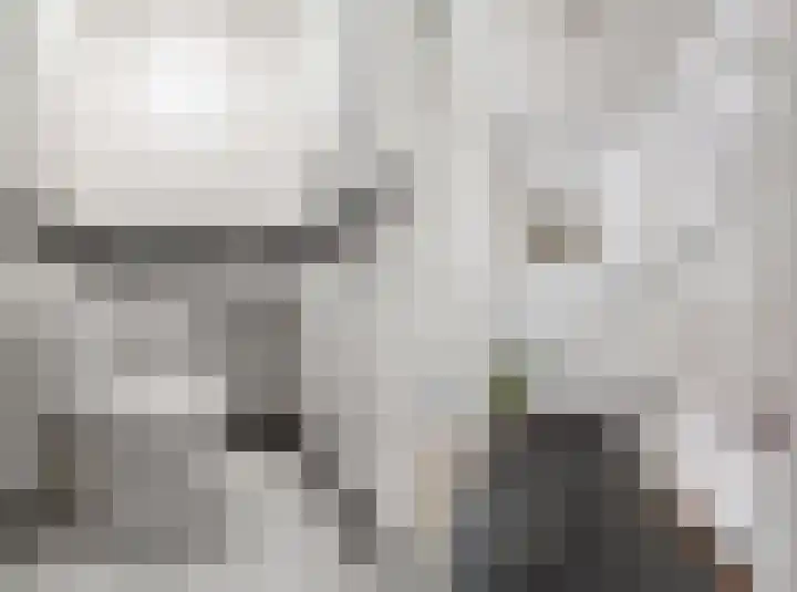 Waterviolier 100 Breda thumbnail 13