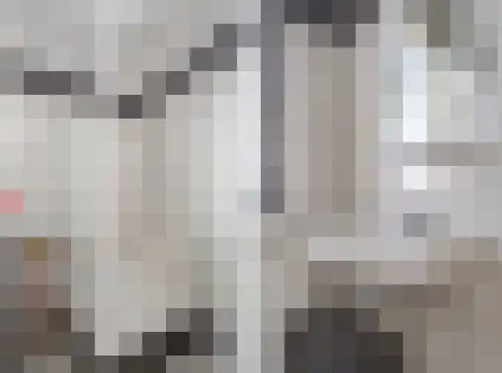 Waterviolier 100 Breda thumbnail 27