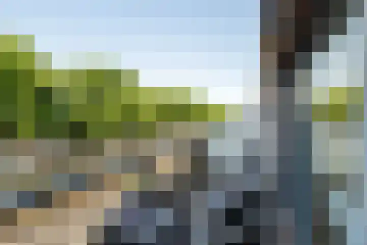 Waterviolier 100 Breda thumbnail 31
