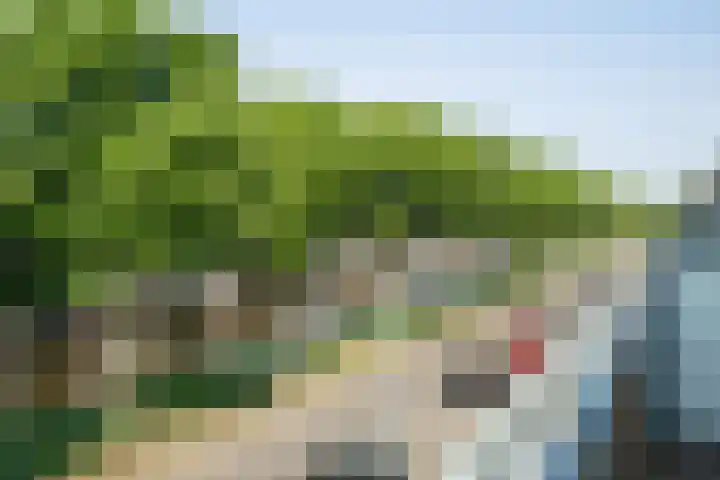 Waterviolier 100 Breda thumbnail 32