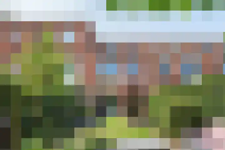 Waterviolier 100 Breda thumbnail 37