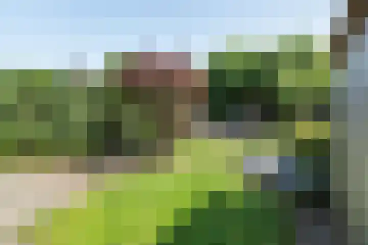 Waterviolier 100 Breda thumbnail 39