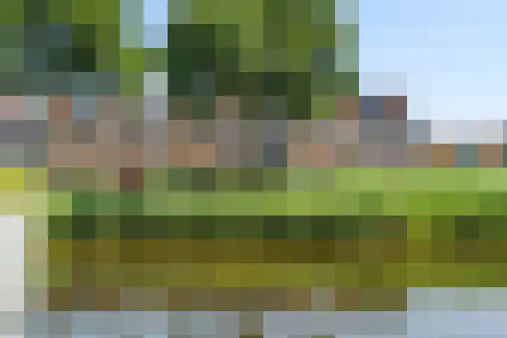 Waterviolier 100 Breda thumbnail 4