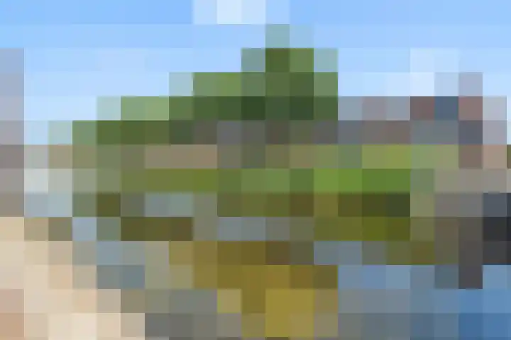 Waterviolier 100 Breda thumbnail 43