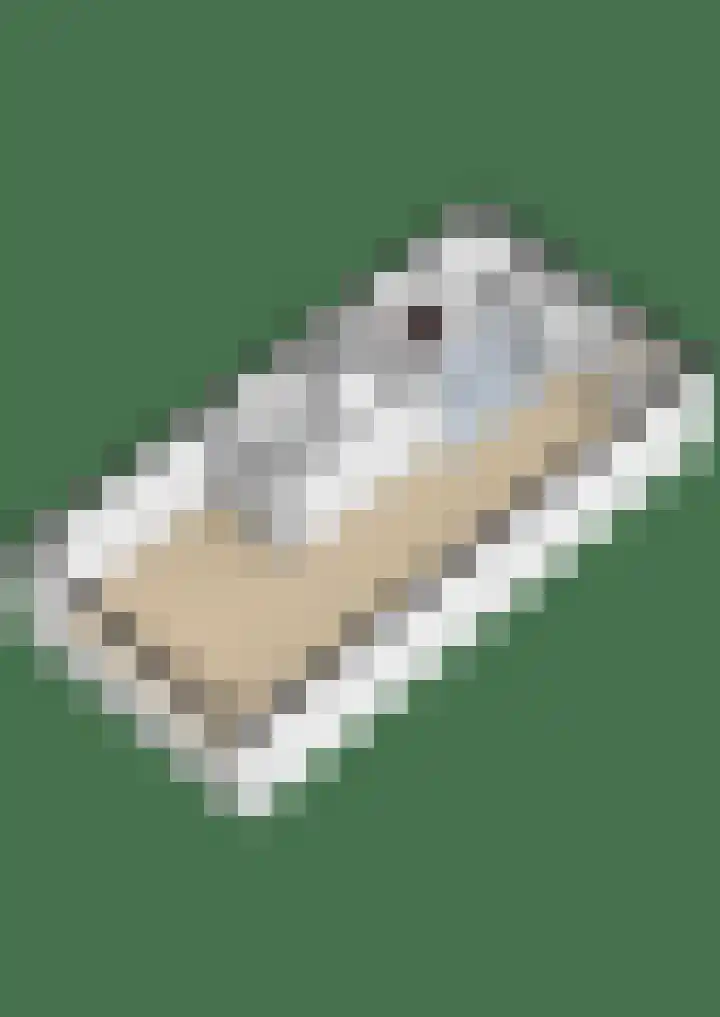 Waterviolier 100 Breda thumbnail 50