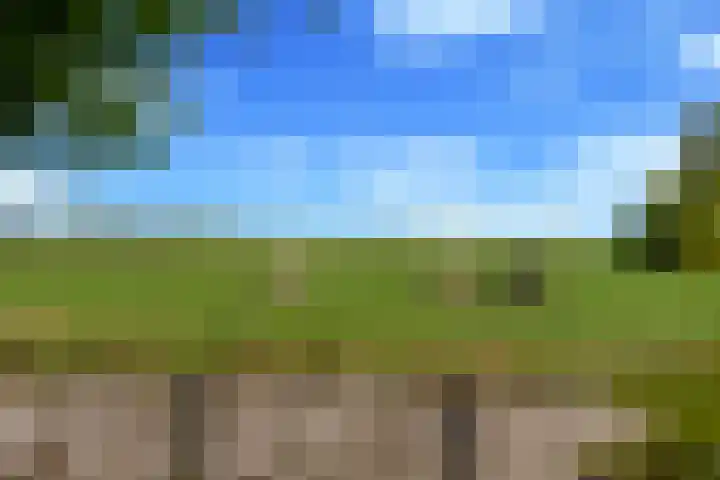 Waterviolier 110 Montfoort thumbnail 16