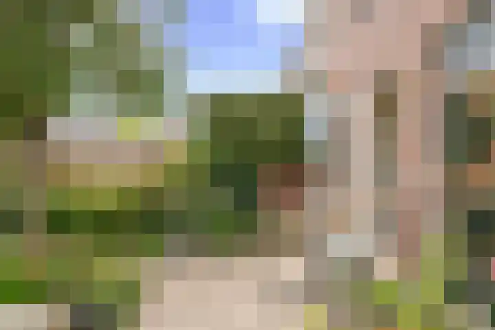 Waterviolier 110 Montfoort thumbnail 22