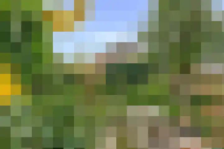 Waterviolier 110 Montfoort thumbnail 23