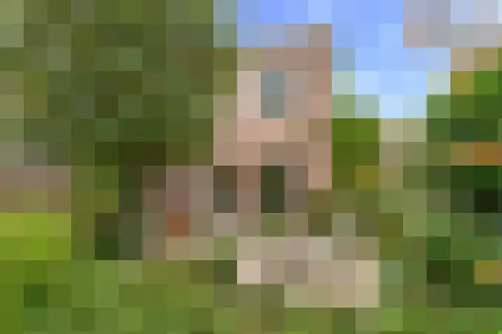 Waterviolier 110 Montfoort thumbnail 24