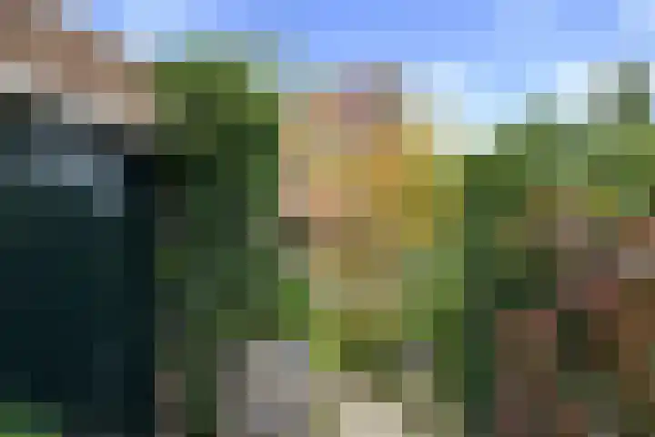Waterviolier 110 Montfoort thumbnail 26