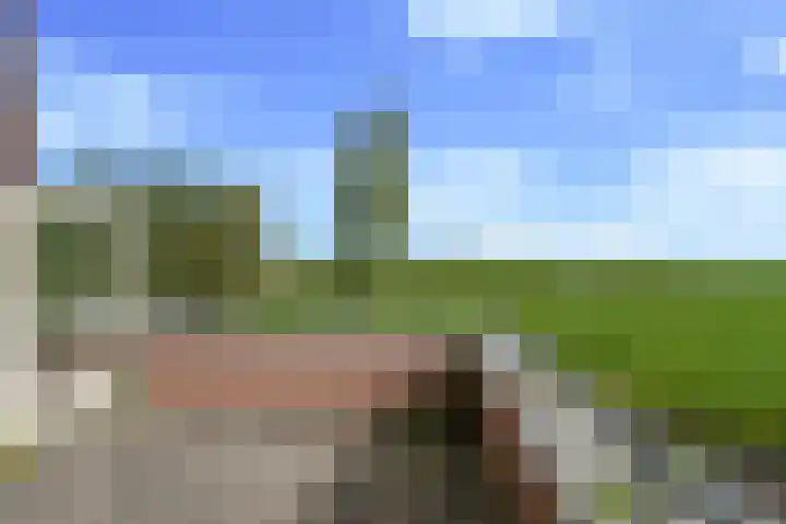 Waterviolier 110 Montfoort thumbnail 30