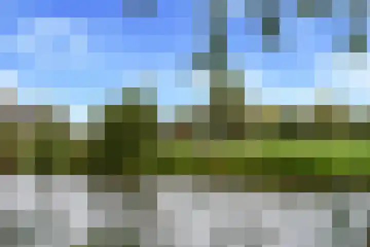 Waterviolier 110 Montfoort thumbnail 4