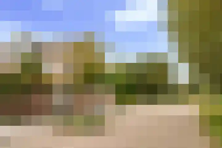 Waterviolier 110 Montfoort thumbnail 40