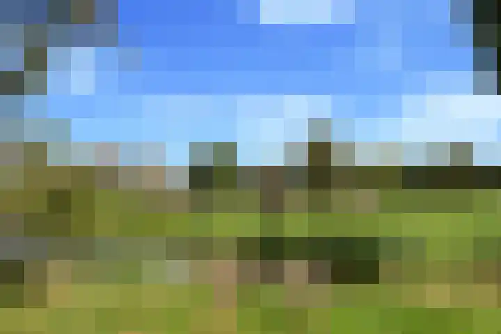 Waterviolier 110 Montfoort thumbnail 41