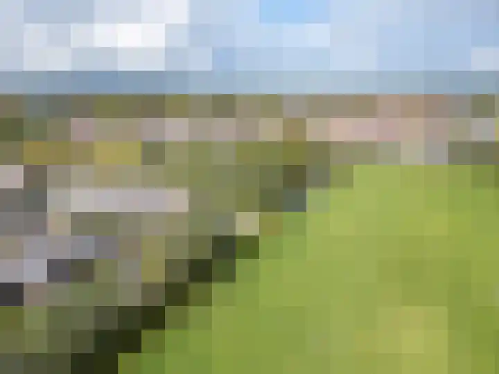 Waterviolier 110 Montfoort thumbnail 44