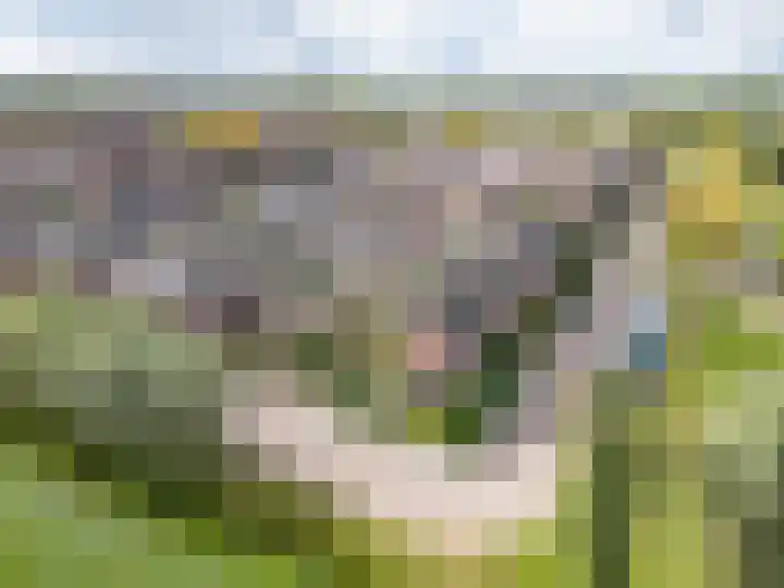 Waterviolier 110 Montfoort thumbnail 46