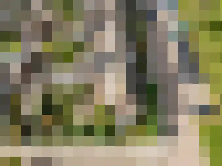 Waterviolier 110 Montfoort thumbnail 6