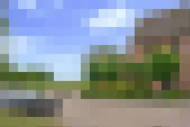 Waterviolier 110 Montfoort thumbnail 7