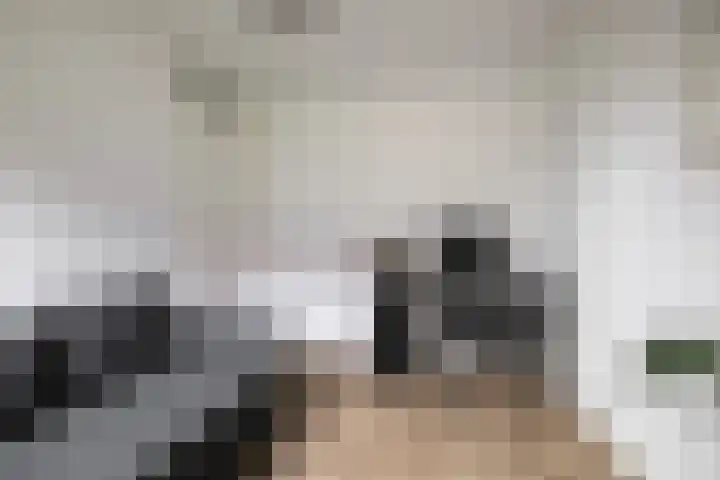 Waterviolier 14 Breda thumbnail 14