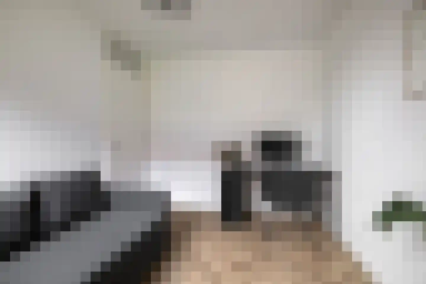 Waterviolier 14 Breda thumbnail 14