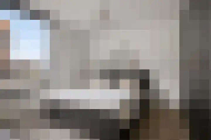 Waterviolier 14 Breda thumbnail 18