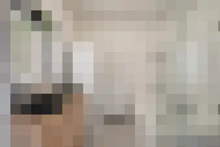 Waterviolier 14 Breda thumbnail 19