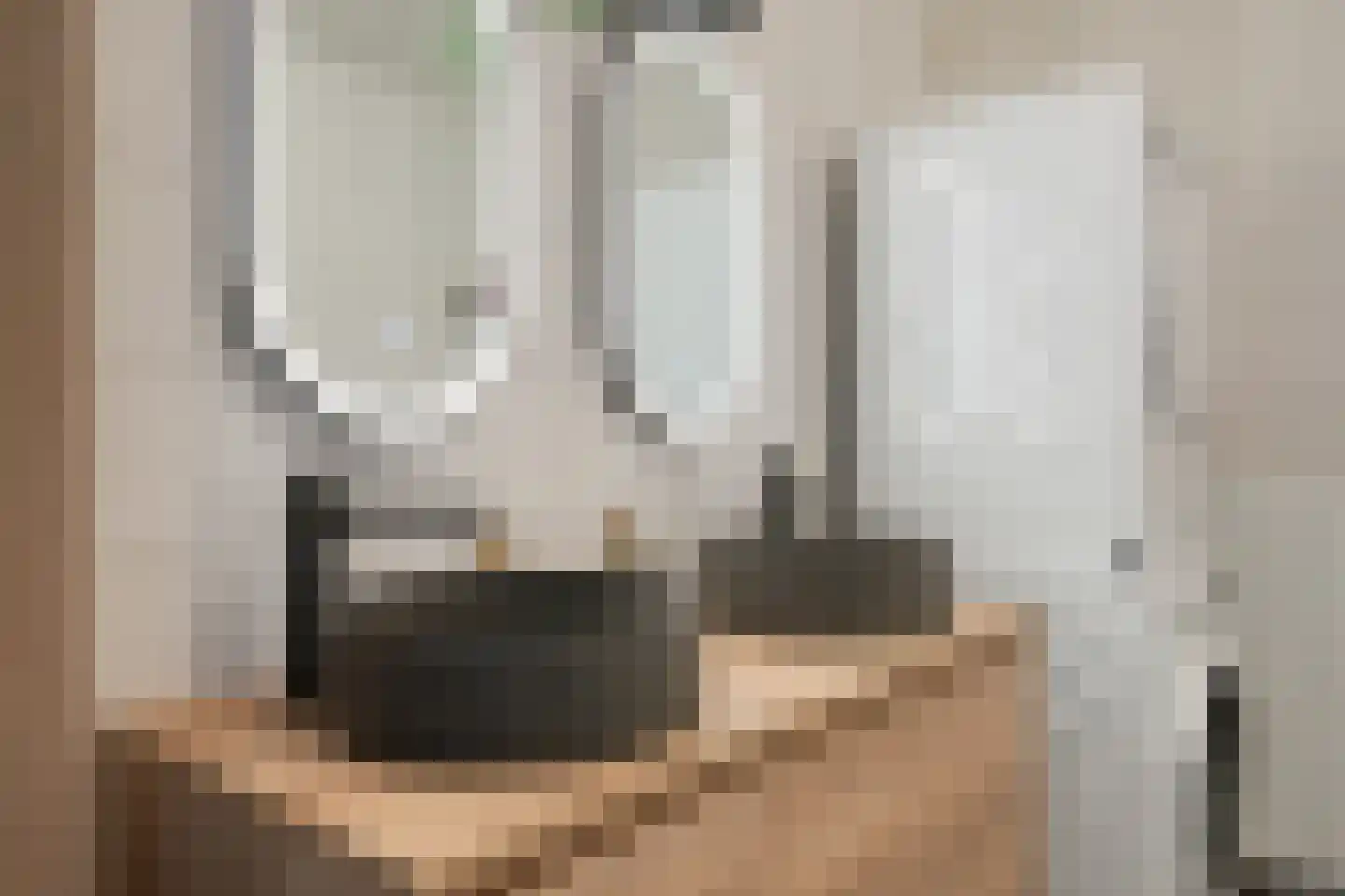 Waterviolier 14 Breda thumbnail 20