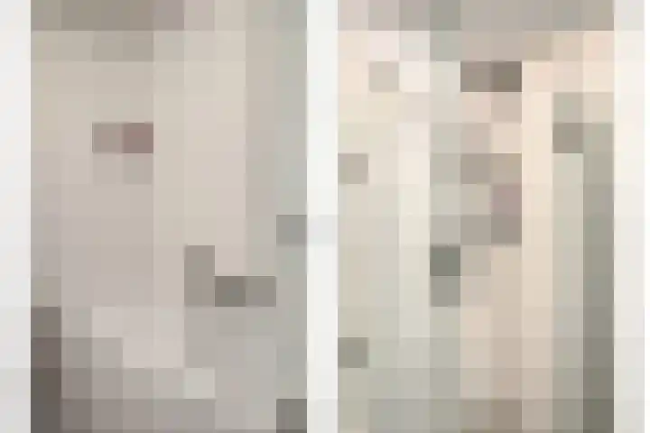 Waterviolier 14 Breda thumbnail 21
